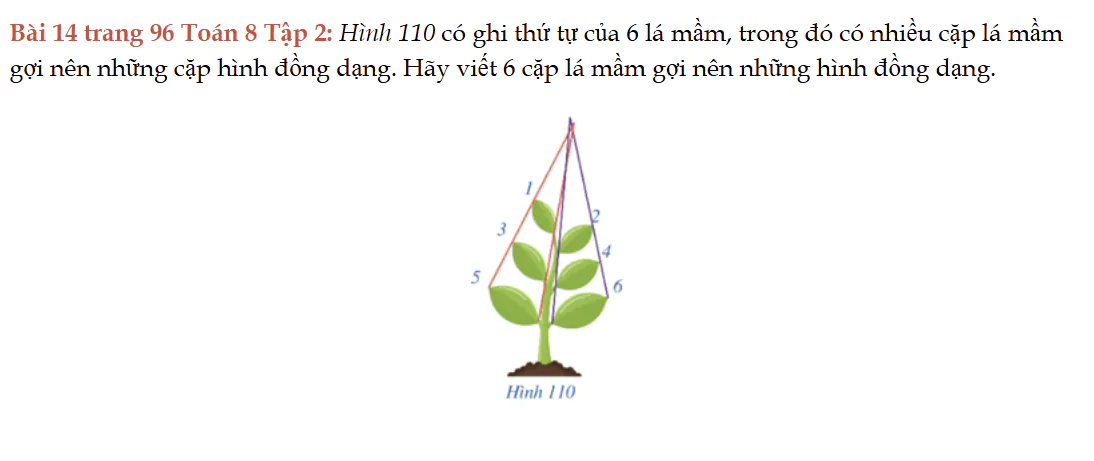 bai-14-trang-96-toan-8-tap-2-8887