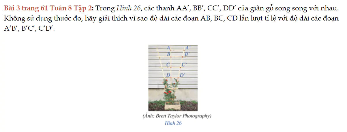 bai-3-trang-61-toan-8-tap-2-8651