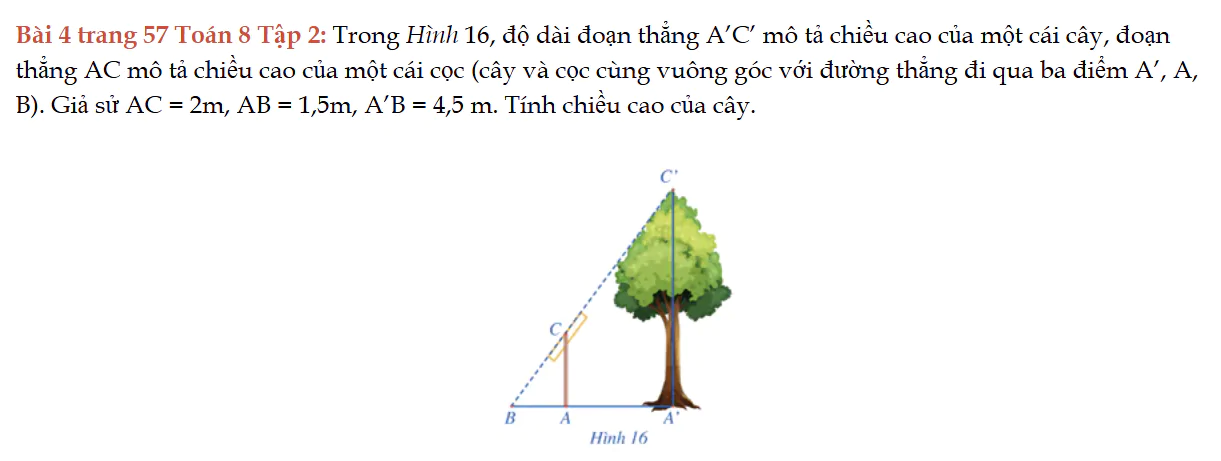 bai-4-trang-57-toan-8-tap-2-8644