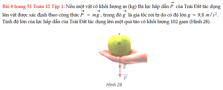 bai-6-trang-51-toan-12-tap-1-1786