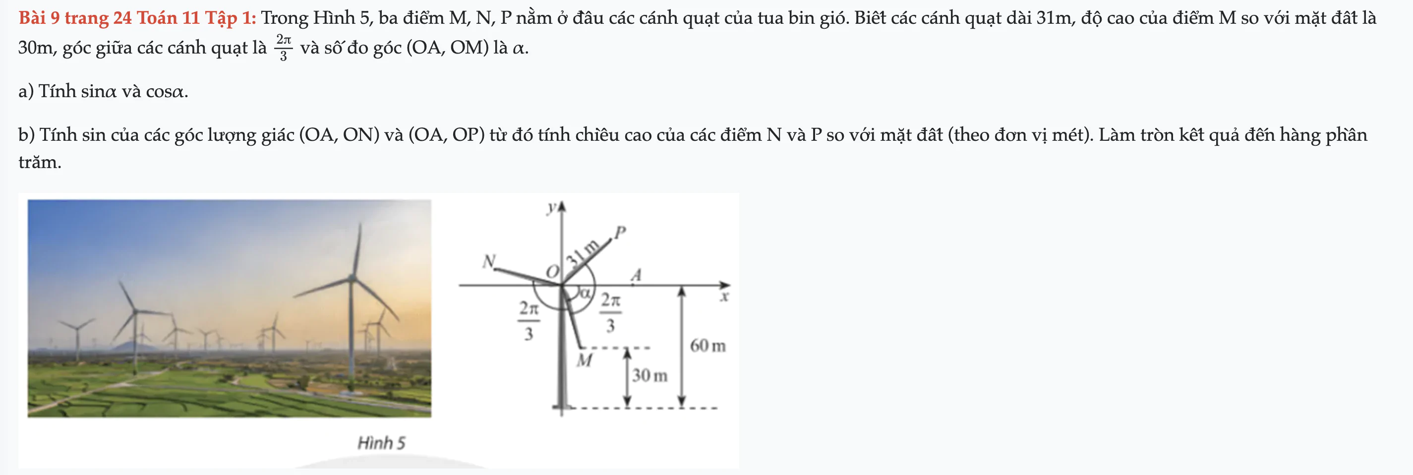 bai-9-trang-24-toan-11-tap-1-1322