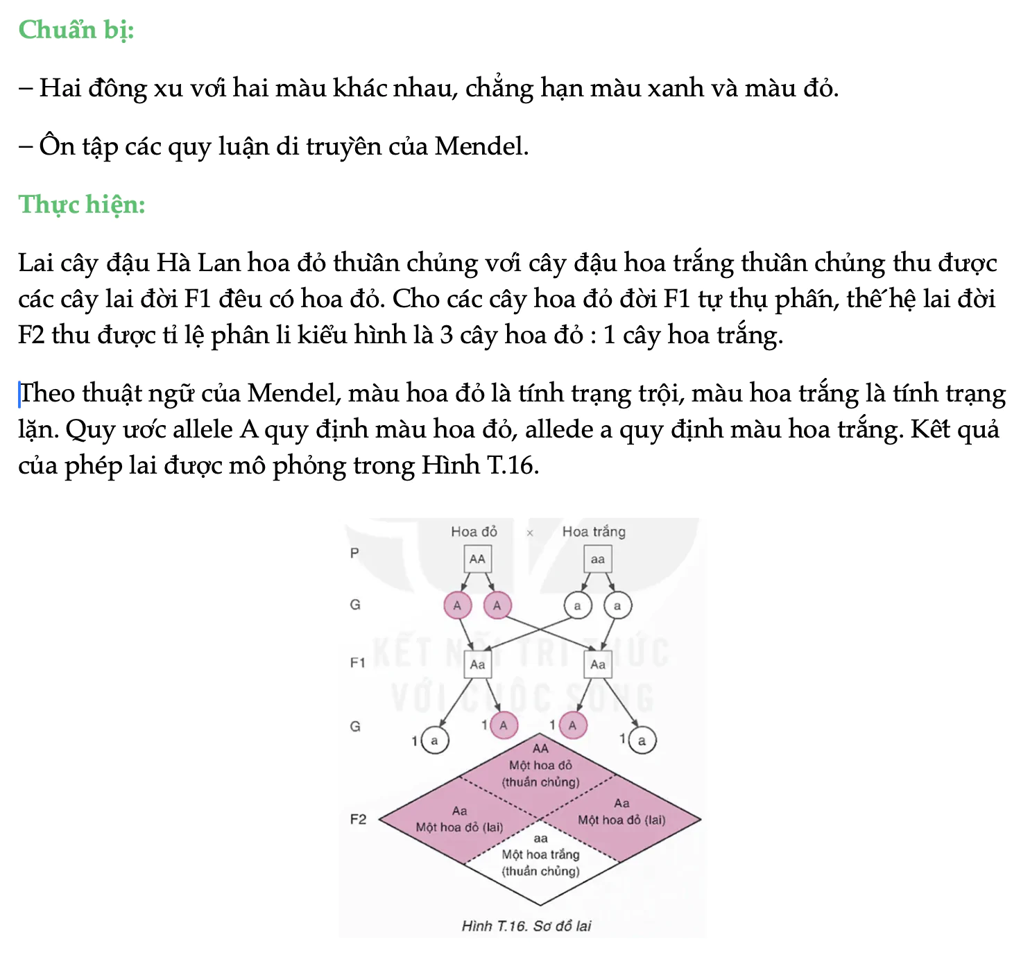 gene-troi-trong-cac-the-he-lai-4837