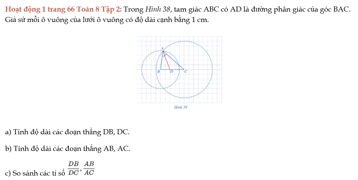 hoat-dong-1-trang-66-toan-8-tap-2-8664