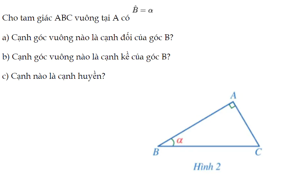 hoat-dong-1-trang-74-toan-9-tap-1-3058