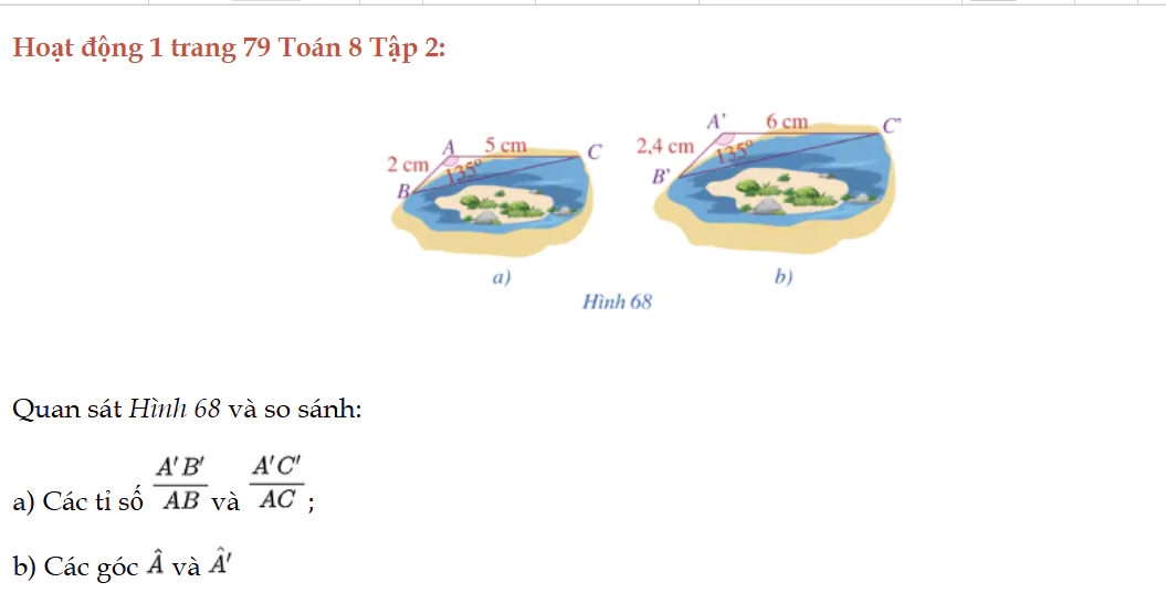 hoat-dong-1-trang-79-toan-8-tap-2-8856