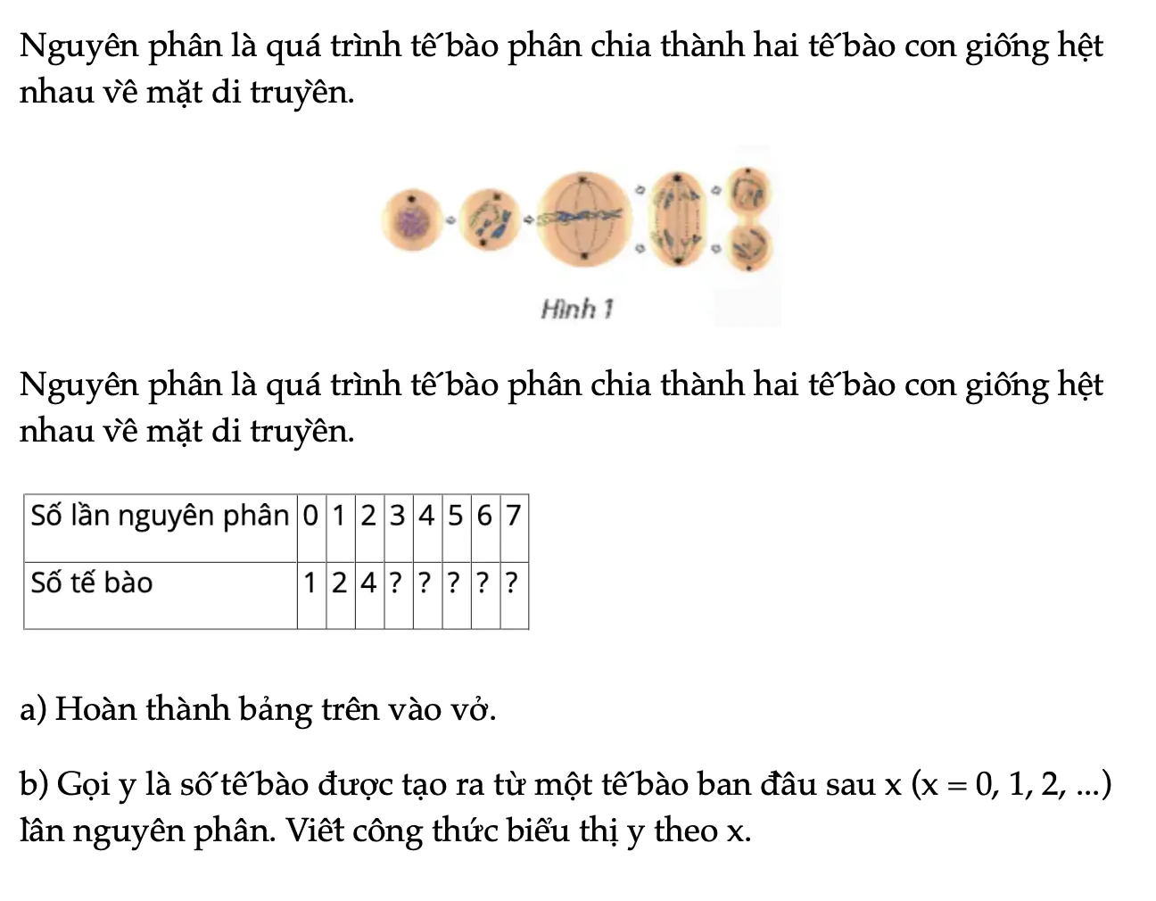 hoat-dong-kham-pha-1-trang-20-toan-11-tap-2-7368