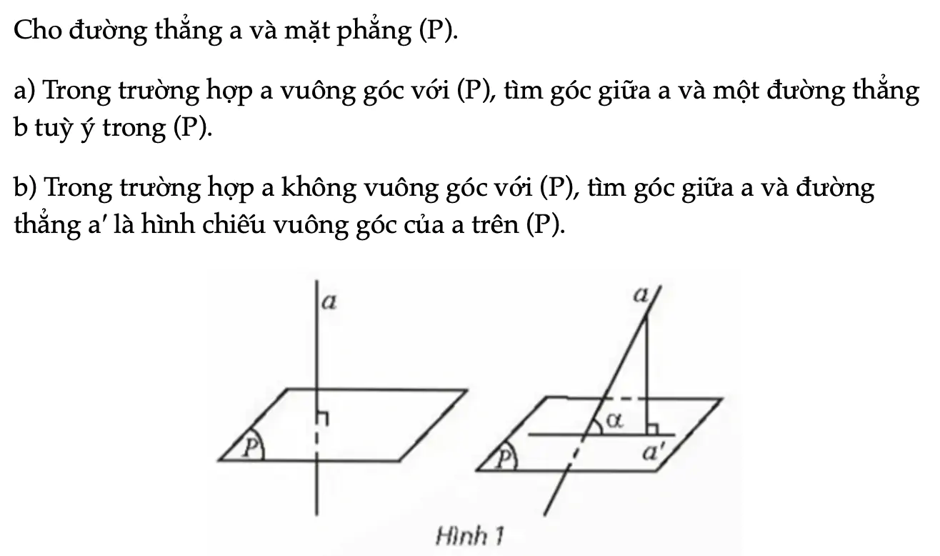 hoat-dong-kham-pha-1-trang-82-toan-11-tap-2-7491