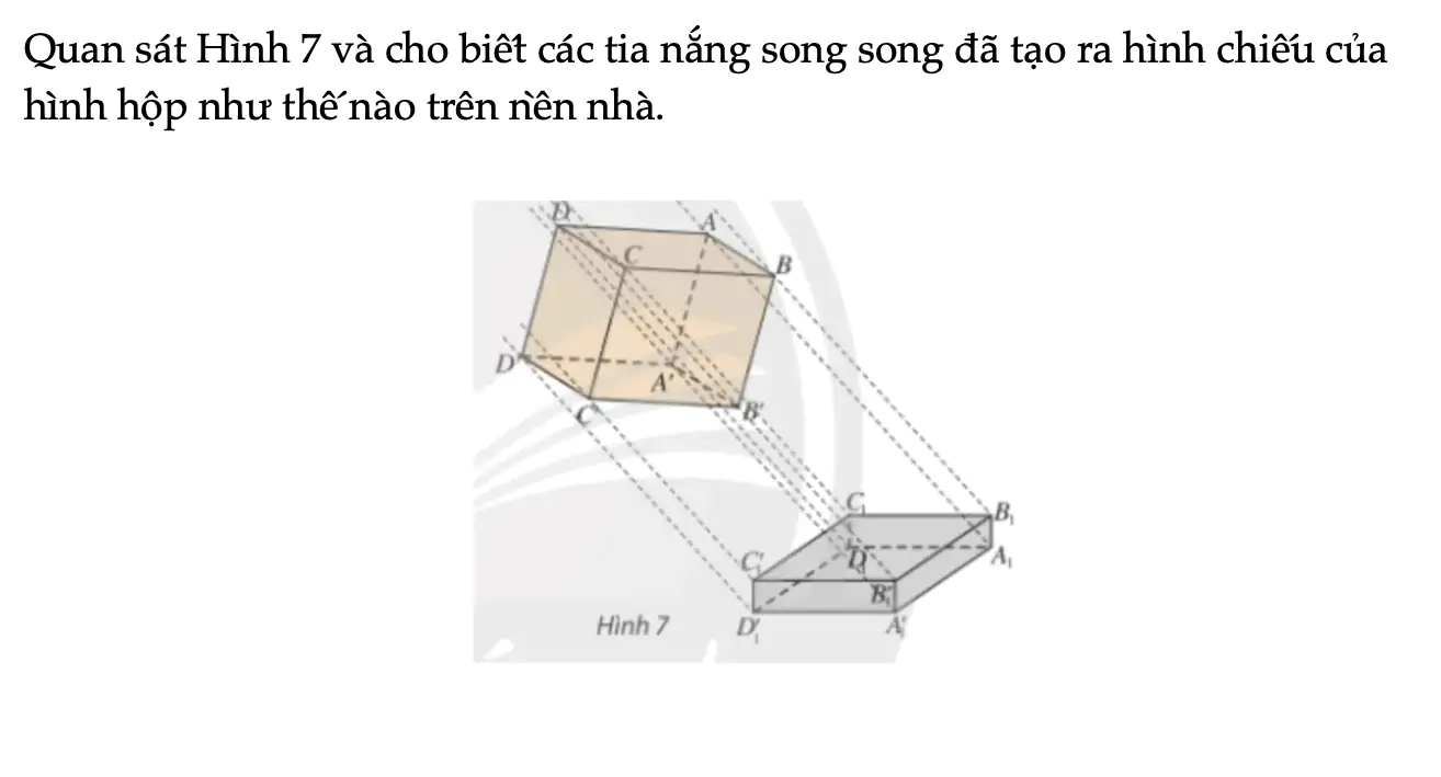 hoat-dong-kham-pha-4-trang-124-toan-11-tap-1-7018