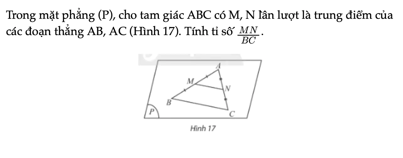 hoat-dong-kham-pha-7-trang-92-toan-11-tap-1-6926