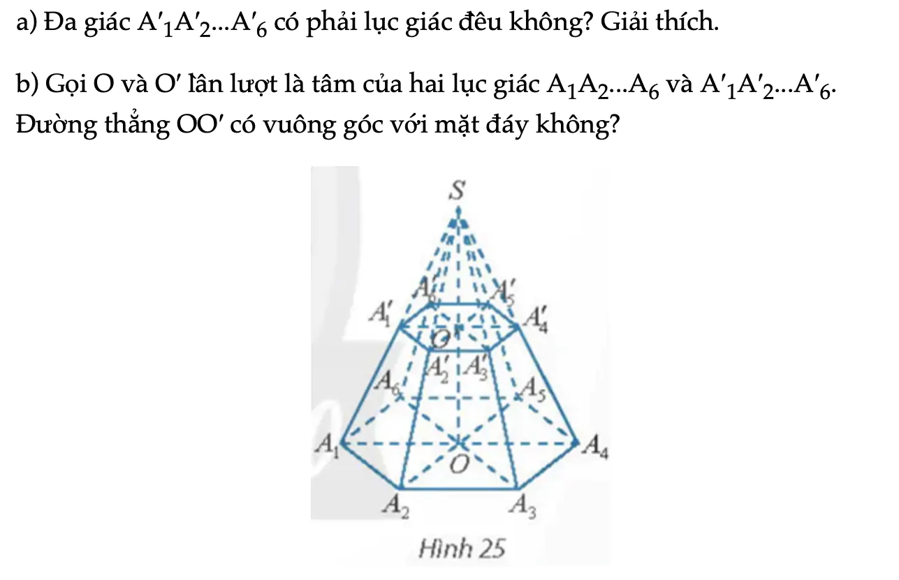 hoat-dong-kham-pha-8-trang-72-toan-11-tap-2-7474