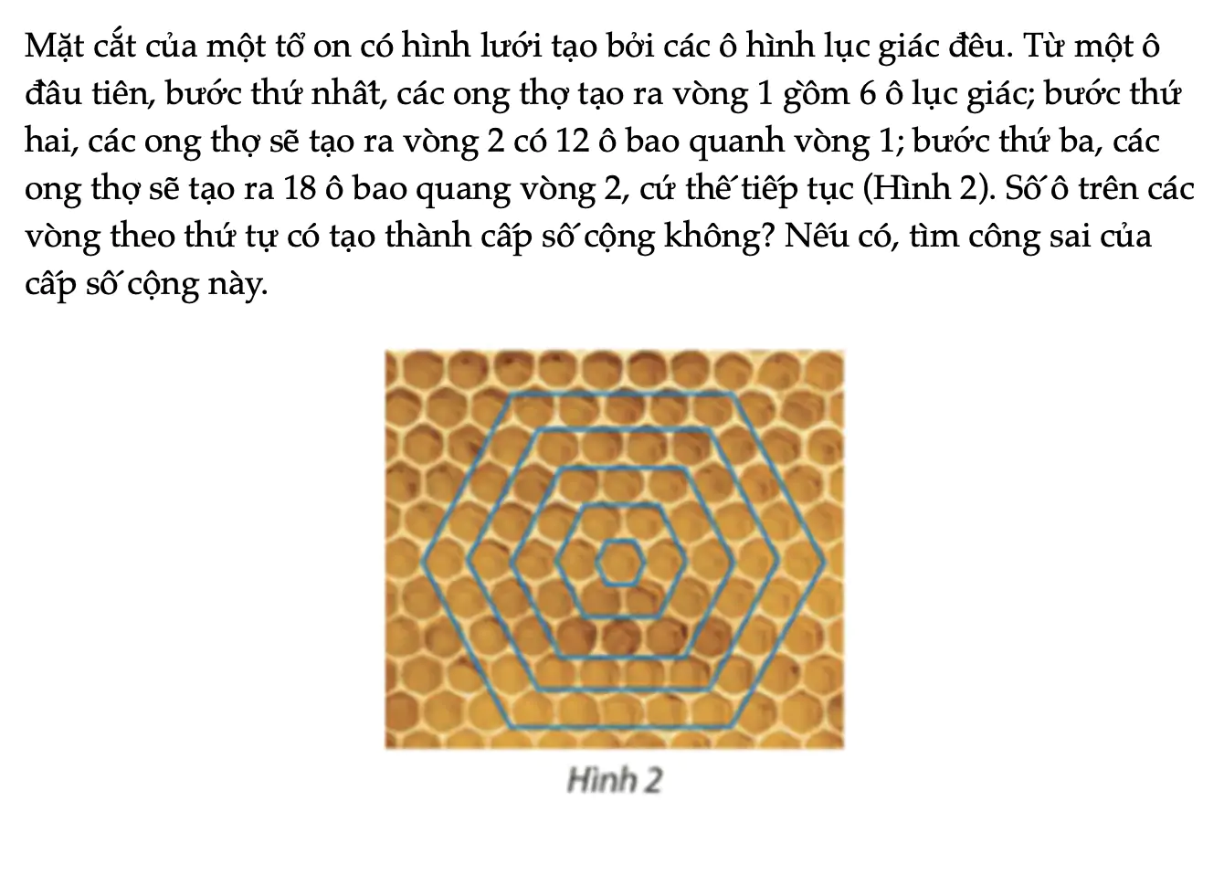 van-dung-1-trang-53-toan-11-tap-1-6844